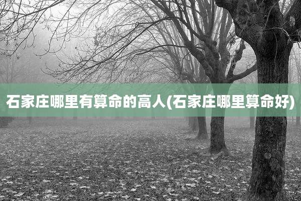 石家庄哪里有算命的高人(石家庄哪里算命好)
