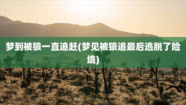 梦到被狼一直追赶(梦见被狼追最后逃脱了险境)