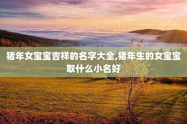 猪年女宝宝吉祥的名字大全,猪年生的女宝宝取什么小名好