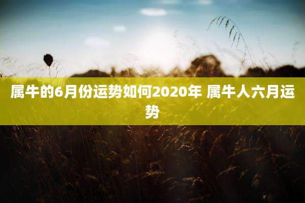 属牛的6月份运势如何2020年 属牛人六月运势