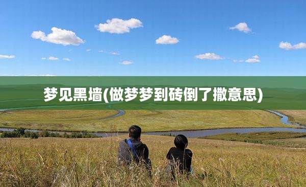 梦见黑墙(做梦梦到砖倒了撒意思)