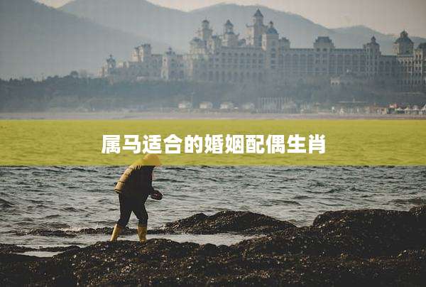 属马适合的婚姻配偶生肖
