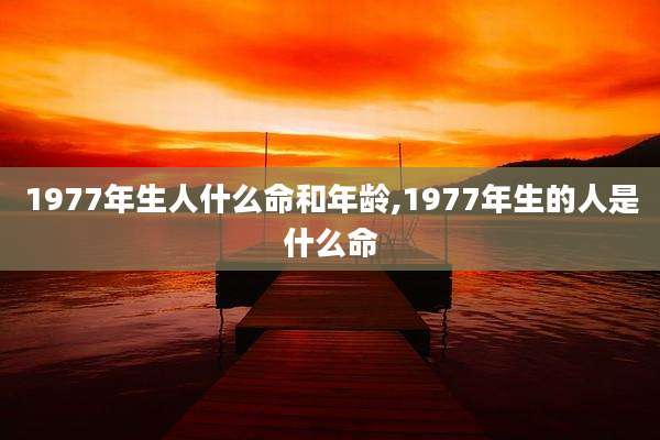 1977年生人什么命和年龄,1977年生的人是什么命
