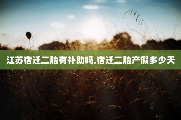 江苏宿迁二胎有补助吗,宿迁二胎产假多少天