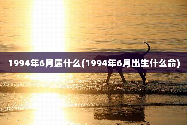 1994年6月属什么(1994年6月出生什么命)