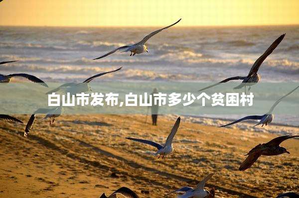 白山市发布,白山市多少个贫困村