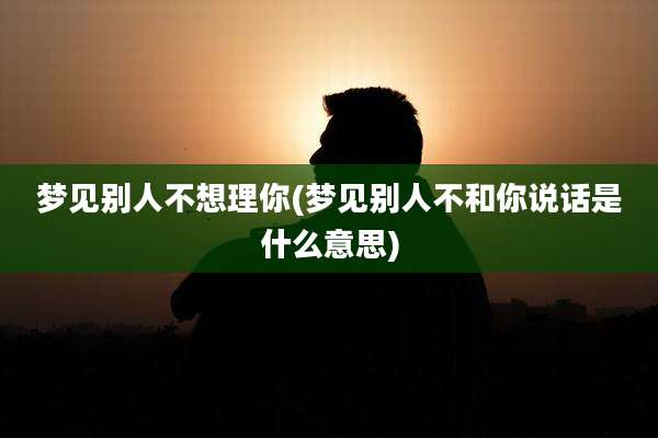梦见别人不想理你(梦见别人不和你说话是什么意思)