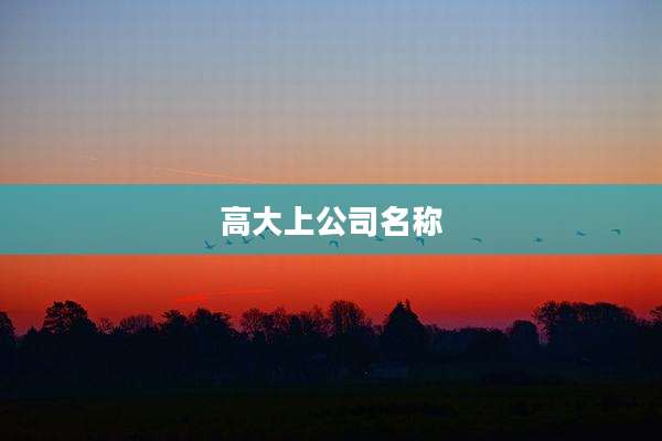 高大上公司名称