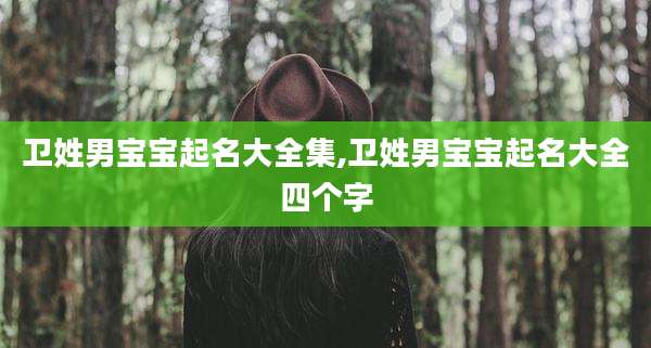 卫姓男宝宝起名大全集,卫姓男宝宝起名大全四个字