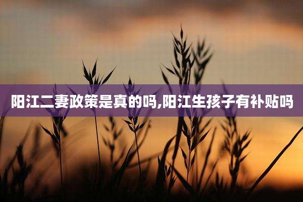 阳江二妻政策是真的吗,阳江生孩子有补贴吗