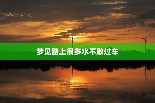梦见路上很多水不敢过车