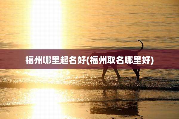 福州哪里起名好(福州取名哪里好)