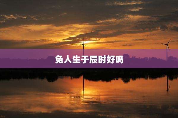 兔人生于辰时好吗