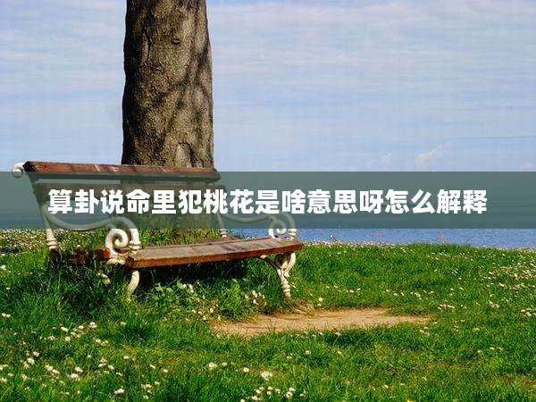 算卦说命里犯桃花是啥意思呀怎么解释