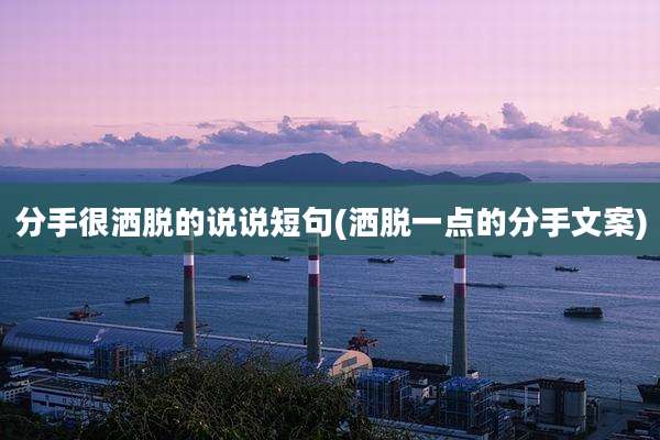 分手很洒脱的说说短句(洒脱一点的分手文案)