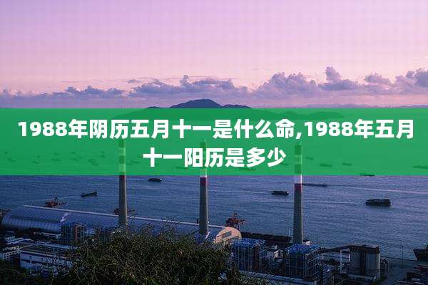 1988年阴历五月十一是什么命,1988年五月十一阳历是多少
