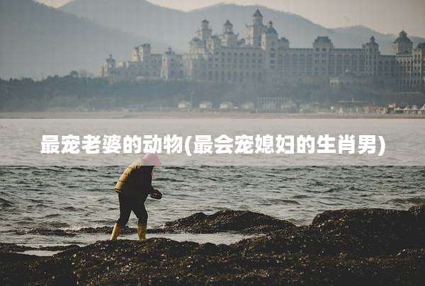 最宠老婆的动物(最会宠媳妇的生肖男)