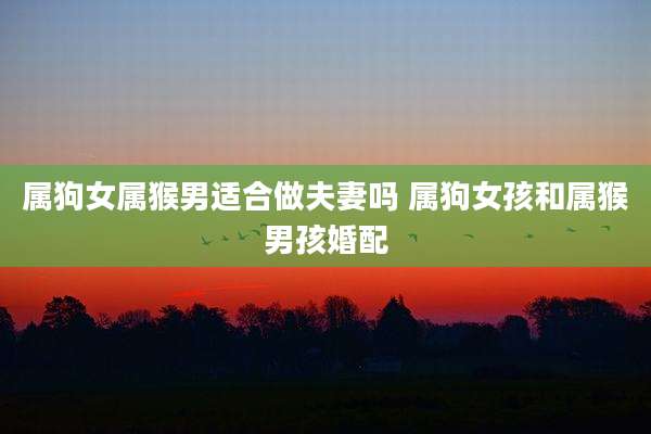 属狗女属猴男适合做夫妻吗 属狗女孩和属猴男孩婚配