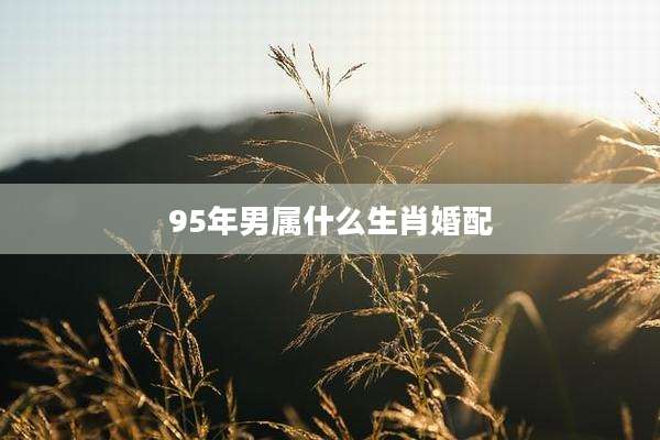 95年男属什么生肖婚配