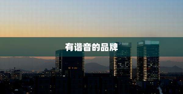 有谐音的品牌