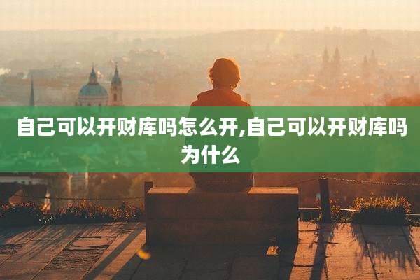 自己可以开财库吗怎么开,自己可以开财库吗为什么