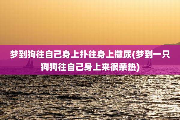 梦到狗往自己身上扑往身上撒尿(梦到一只狗狗往自己身上来很亲热)