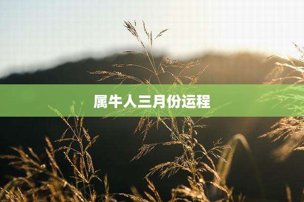 属牛人三月份运程