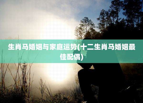 生肖马婚姻与家庭运势(十二生肖马婚姻最佳配偶)