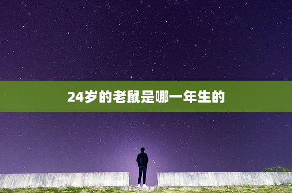 24岁的老鼠是哪一年生的
