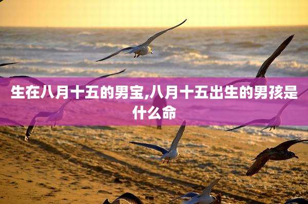 生在八月十五的男宝,八月十五出生的男孩是什么命