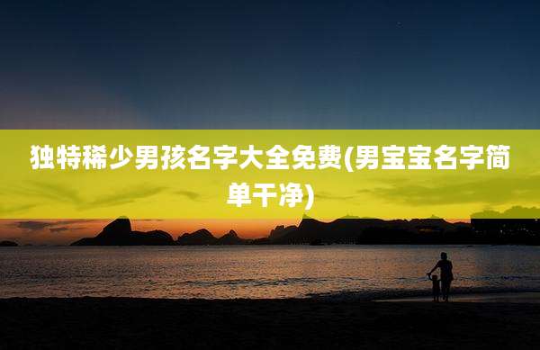 独特稀少男孩名字大全免费(男宝宝名字简单干净)