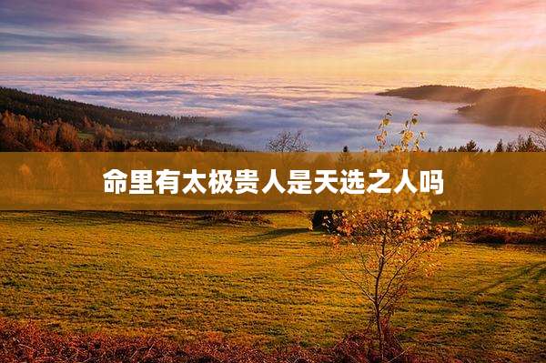 命里有太极贵人是天选之人吗