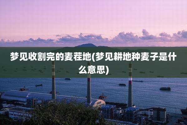 梦见收割完的麦茬地(梦见耕地种麦子是什么意思)