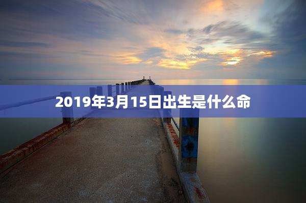 2019年3月15日出生是什么命