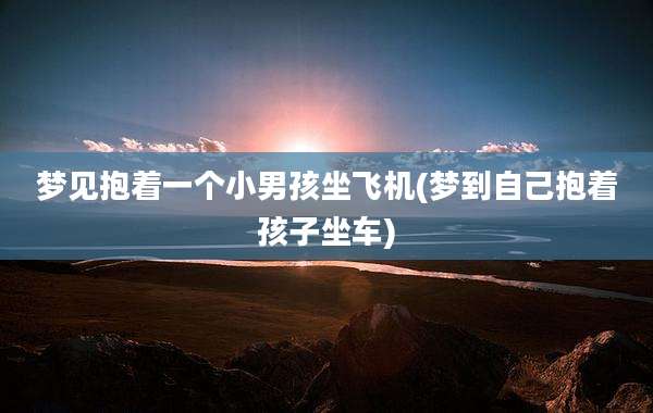 梦见抱着一个小男孩坐飞机(梦到自己抱着孩子坐车)