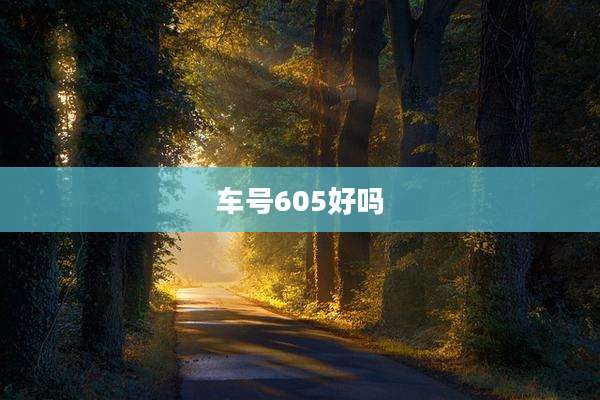 车号605好吗