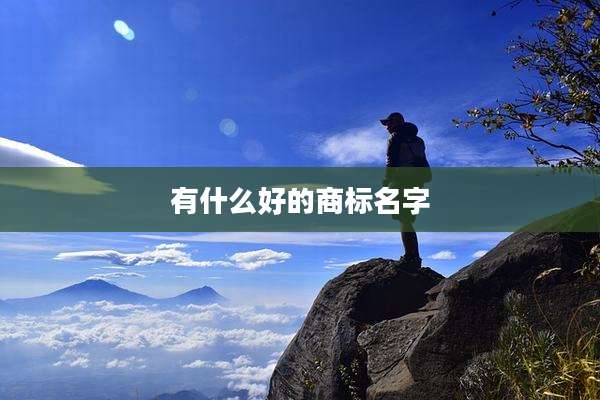 有什么好的商标名字
