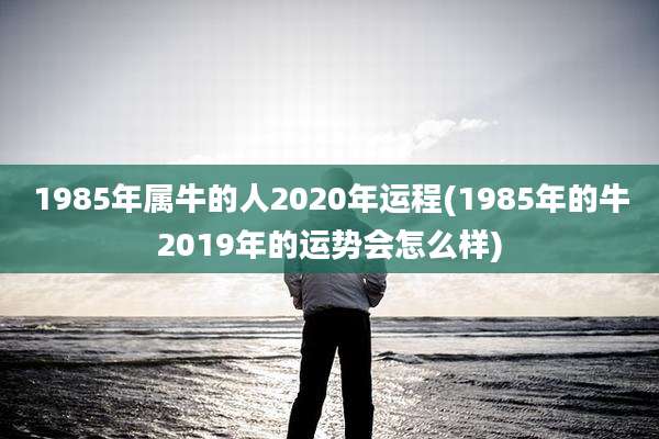 1985年属牛的人2020年运程(1985年的牛2019年的运势会怎么样)