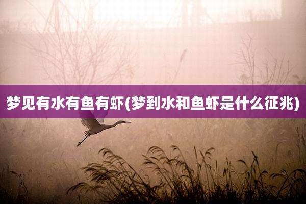 梦见有水有鱼有虾(梦到水和鱼虾是什么征兆)