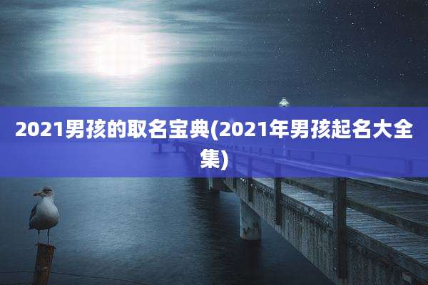 2021男孩的取名宝典(2021年男孩起名大全集)
