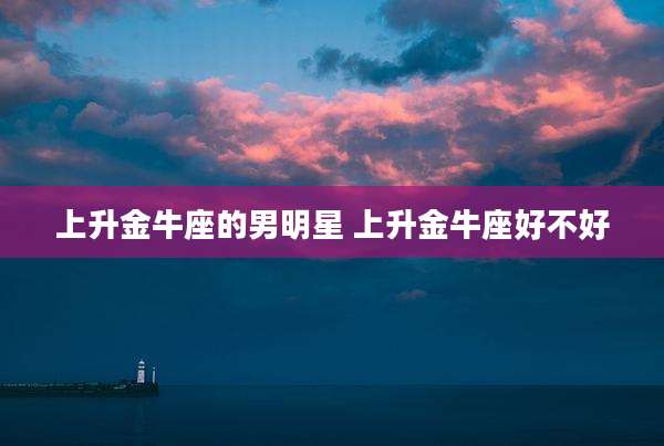上升金牛座的男明星 上升金牛座好不好