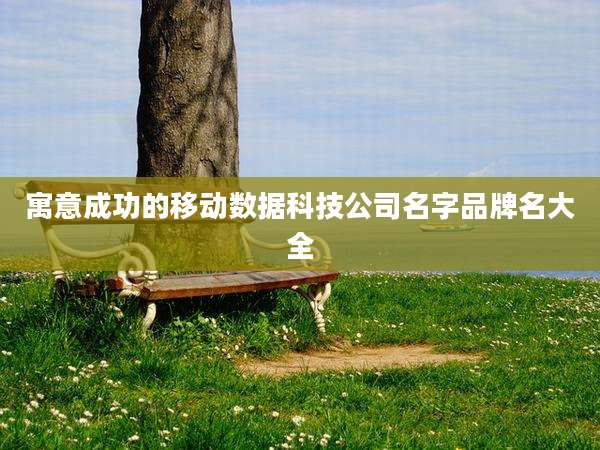 寓意成功的移动数据科技公司名字品牌名大全