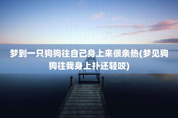 梦到一只狗狗往自己身上来很亲热(梦见狗狗往我身上扑还轻咬)