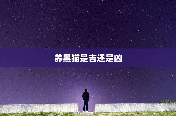 养黑猫是吉还是凶