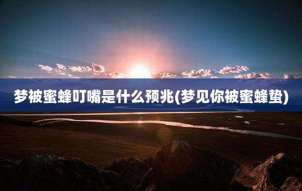 梦被蜜蜂叮嘴是什么预兆(梦见你被蜜蜂蛰)