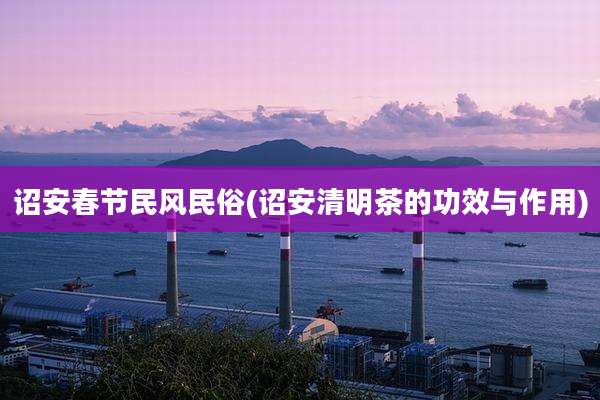 诏安春节民风民俗(诏安清明茶的功效与作用)