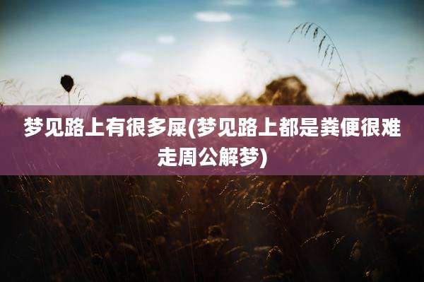 梦见路上有很多屎(梦见路上都是粪便很难走周公解梦)
