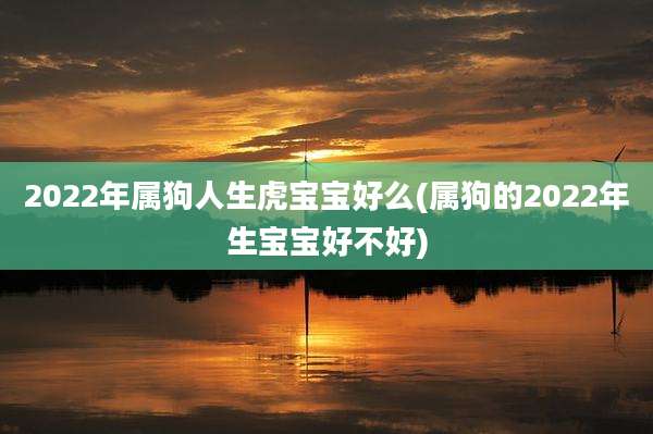 2022年属狗人生虎宝宝好么(属狗的2022年生宝宝好不好)
