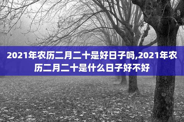 2021年农历二月二十是好日子吗,2021年农历二月二十是什么日子好不好