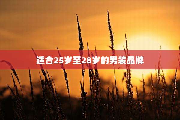 适合25岁至28岁的男装品牌